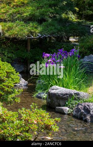 Gli elementi di design da giardino e i giardini del Palazzo Imperiale di Kyoto, Giappone Foto Stock