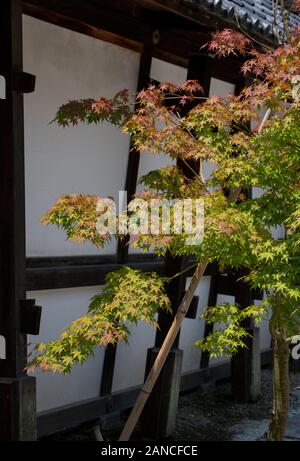 Gli elementi di design da giardino e i giardini del Palazzo Imperiale di Kyoto, Giappone Foto Stock