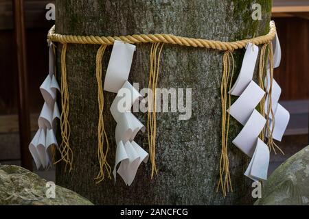 Gli elementi di design da Shinto santuari e templi buddisti a Kyoto, Giappone Foto Stock