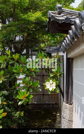 Gli elementi di design da Shinto santuari e templi buddisti a Kyoto, Giappone Foto Stock