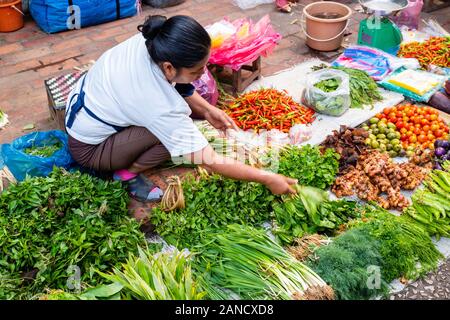 Immagini dal mercato mattutino, Luang Prabang, Laos. Foto Stock