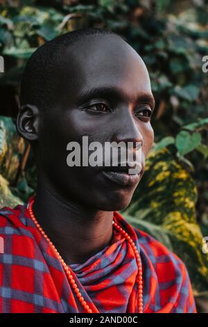 Maasai uomo in abiti tradizionali in piedi di fronte alle foglie verdi Foto Stock