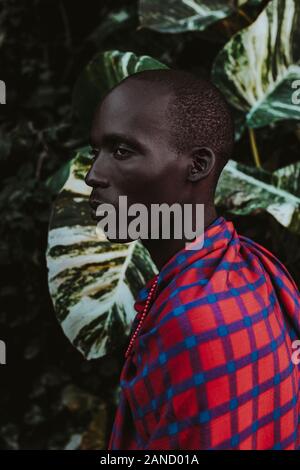 Maasai uomo in abiti tradizionali in piedi di fronte alle foglie verdi Foto Stock