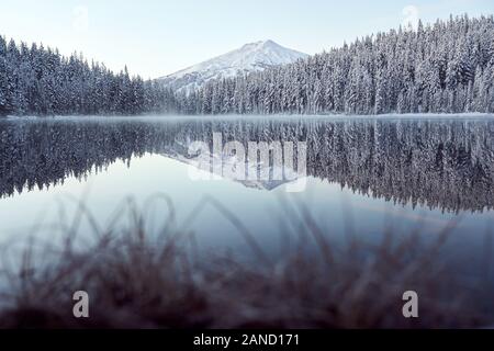 Lago panoramico in inverno con alberi innevati e montagna Foto Stock