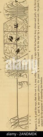 Il Libro di Giobbe : tradotto dall'Ebraico sulla base della versione autorizzata : spiegato in un grande corpo di note, critici ed esegetici e illustrato da estratti da varie opere sulla Antichità, geografia, scienza, ecc., anche da ottanta xilografie e una mappa ; con sei tesi preliminare, un analitico parafrasi e Meisner e Doederlein la selezione di diverse letture del testo ebraico da le regole di confronto di Kennicott e De Rossi . thefield quando richiesto o per dovere di guarnigione.Una grande porzione dell'esercito era fre-temente chiamati dai loro warlikemonarchs a invad Foto Stock