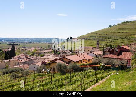 Colline della Valpolicella il paesaggio, la viticoltura italiana area, Italia. Paesaggio rurale Foto Stock