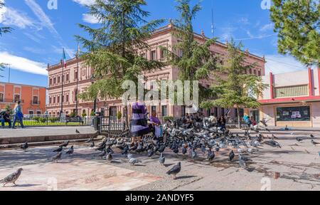 Saltillo, Coahuila, Messico - 21 Novembre 2019: Le donne alimentando i piccioni a la Plaza de Armas con il palazzo rosa in background Foto Stock