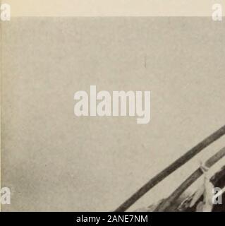 Guida generale per le sale espositive del Museo Americano di Storia Naturale . Uso della corteccia di betulla tra gli indiani orientale (da un gruppo in miniatura nel bosco indiani Hall) materiale preferito. Per esempio, la betulla-hark industria, come illustrato nel modello illus-quotato al di sopra, è esemplificato da contenitori andornaments in molti casi. Corteccia likethat del basswood tree è stata shreddedto anche rendere la fibra per la tessitura di sacchetti. Le pelli sono state originariamente utilizzato per i costumi,ma panno è stato spesso acquistati dalla whitetraders. Molte piante selvatiche e alberi furnishedfiber dal quale questi Indiani compiuto buoni string Foto Stock