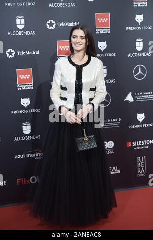 Gennaio 16, 2020, Alcobendas, Spagna: Penelope Cruz assiste Feroz Awards 2020 tappeto rosso al Teatro Auditorio Ciudad de Alcobendas. (Credito Immagine: © Jack Abuin/ZUMA filo) Foto Stock