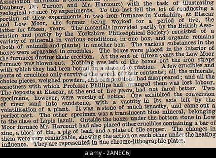 Il Illustrated London News . La crescita di funghi.-Mr. Ward, nella sua &gt;.,,.;. ,,I.^-;. .&Gt;i.,--..lC.i-o-! saysof:-Ilmd : ..?! .Inn ?. ?:?? ? U-j.Ol ana. !? Ii mi- ?????????? :: ??•?J SiSi,ff5SSl£SS il^.liVt? Tneloroa sviluppato?un"H crescita e increoM " un .. .. Ui.l] ....,:??.??.? .??! ? ? .?? ?? L!ut lli, ln - 3 piazza e del peso di ottanta-tre - Vertice del pilous beganh esso wns circondato. In l;;;;:;:;,v,1,::;L1;:;^;;;1l,n.u1- io ??? ? ?? Io- io th baccanali a lungo ha continuato il calore, illnstrative j heeu realizzati in apiiljint; i-hviie.il andoiuc*idftto problema geologico?. In im Brit Foto Stock