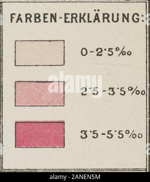 Die Ehe Tuberculoser und ihre Folgen . i / ..... ...-: V A,. •** £Appgnztei-l--j /(p (h i.Rh. / /. Foto Stock