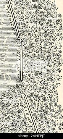 Abraham Lincoln : una storia : la piena e record autorizzati della sua vita privata e carriera pubblica . Mappa del BATTLEFIELDOF Isola Roanoke, FEB-RUARY 8, 1862. LIEUT DRAWNBY. W. S. ANDREWS,dell'9TH N. Y. PUB-FISSATE DALL'AUTORITÀ DEL SEGRETARIO DI AVAR. Foto Stock