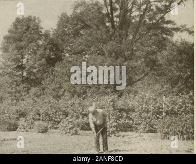 L'indagine di ottobre 1916-marzo 1917 .   . *!*.. Io ho£T* I m. Foto Stock