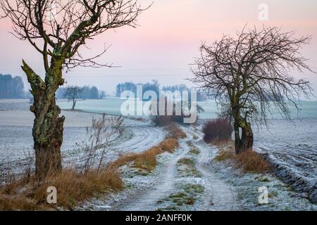 Strade di campagna tra i campi di surgelati e alberi, polacco villaggio vicino a Gniezno. Paesaggio invernale, Polonia. Foto Stock