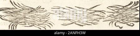 De naturae diuinis characterismis, seu, Raris & admirandis spectaculis, causis, indiciis, proprietatibus rerum in partibus singulis vniuersi, libri II . 2. Pili pcr varij os cxcreti.. 9 4 MCM- %i6 ^fembransvariasceu fetusinuolucra. Foto Stock