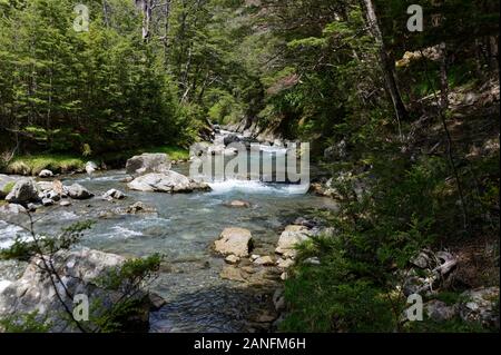 A stony fiume scorre attraverso una valle in Nuova Zelanda Foto Stock