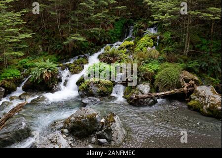 Cascate di acqua su mossy, rocce verdi, che si divide in diverse cascate. Foto Stock