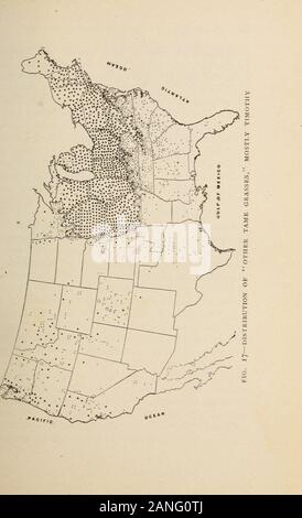 Erbe azienda agricola degli Stati Uniti; una pratica trattato sul raccolto di erba, la semina e la gestione di prati e pascoli, descrizioni delle migliori varietà, le sementi e le sue impurezze, erbe per le condizioni speciali, etc, etc . hern membri è prob-abilmente dovuta più al cotone-stabilimento rispetto a qualsiasi causa otherone. Qualora il cotone boll curculione rendercotton redditizia nel Sud, vi è abundantreason a credere che un sacco di buone erbe può begrown per rendere l'allevamento redditizio a sud della regione thetimothy. È un fatto interessante, cui toearlier in queste pagine, che quasi tutti i th Foto Stock