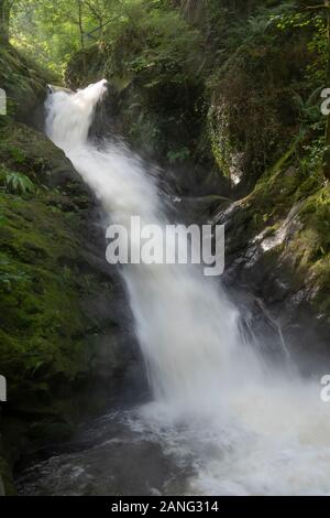 Cascate Di Dolgoch, Vicino A Tywyn (Towyn), Galles Foto Stock