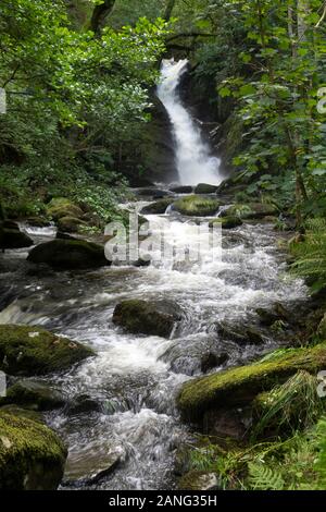 Cascate Di Dolgoch, Vicino A Tywyn (Towyn), Galles Foto Stock