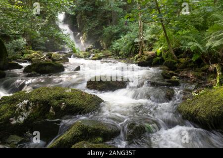 Cascate Di Dolgoch, Vicino A Tywyn (Towyn), Galles Foto Stock