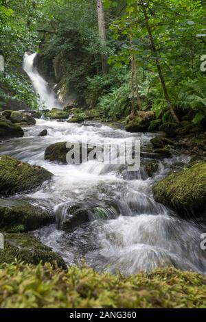 Cascate Di Dolgoch, Vicino A Tywyn (Towyn), Galles Foto Stock