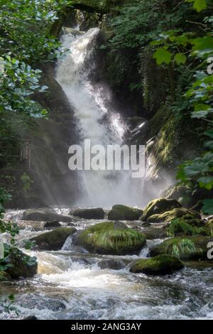 Cascate Di Dolgoch, Vicino A Tywyn (Towyn), Galles Foto Stock