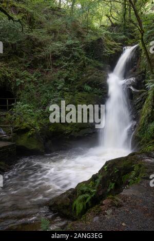 Cascate Di Dolgoch, Vicino A Tywyn (Towyn), Galles Foto Stock