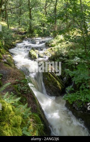 Cascate Di Dolgoch, Vicino A Tywyn (Towyn), Galles Foto Stock