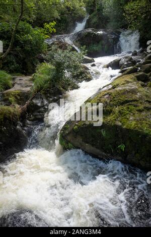 Cascate Di Dolgoch, Vicino A Tywyn (Towyn), Galles Foto Stock