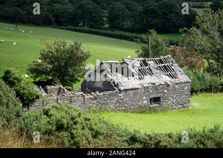 Dolgoch, vicino Tywyn (Towyn), il Galles Foto Stock