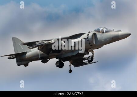 Harrier Jump Jet in full hover Foto Stock