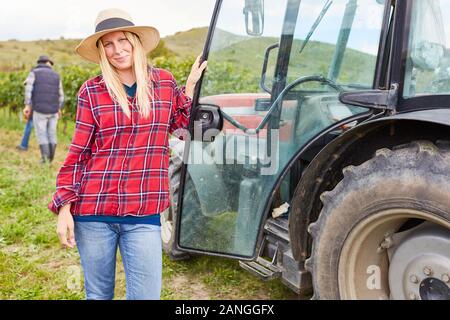 La donna come assistente di raccolta sul trattore durante la vendemmia in vigneto in autunno Foto Stock