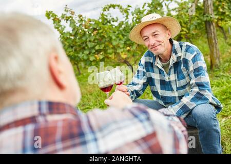Due viticoltori clink bicchieri durante una pausa durante la vendemmia in vigna Foto Stock