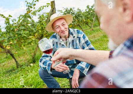 Due i viticoltori con un bicchiere di vino rosso a una degustazione di vino in vigna Foto Stock