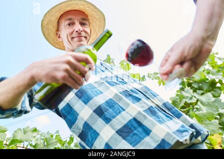 Enologo versa vino rosso in un bicchiere di vino durante una degustazione di vino in vigna Foto Stock