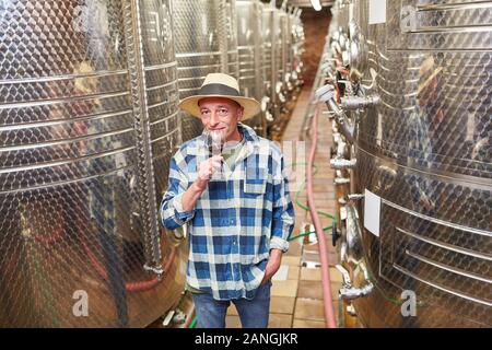 Enologo Master con un bicchiere di vino rosso in cantina nella parte anteriore di un serbatoio di fermentazione Foto Stock