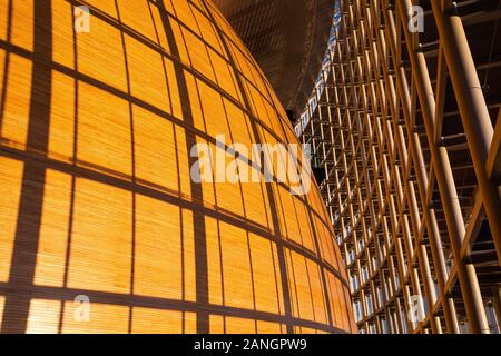 15 gennaio 2020, Francia, Straßburg: La luce cade attraverso la facciata dell'edificio sulla parete esterna della camera plenaria del Parlamento europeo. Foto: Philipp von Ditfurth/dpa Foto Stock