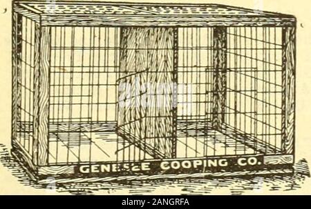 American mondo di pollame . e si prega di voi. Elenco di accoppiamento sulla re-ricerca. Scelta i galletti e le pollastre tor ••ale. JAS. H. Taylor, R. R-S. WOODSTOCK, ill. RED FEATHER FARM occasioni in allevamento-dal nostro campione di sensazione e rosso il principe dei ceppi di Rose e unico pettine rossi-dopo luglio 1stEGGS a prezzi notevolmente ridotti. Timbro per accoppiamento e listino prezzi. F. W. C. ALMY, Prop, casella 22, Tiverton 4 Cors., R. I. Tolmans aria fresca StrainWhite Plymouth Rock Baby pulcini prezzo durante i mesi di giugno, luglio e agosto, $12.00 per 100. Giuseppe TOLMAN, R. F. D. 1, Dept. G, Rockland, mass. Genesee Cooping Azienda IL TUTTO IN METALLO Foto Stock