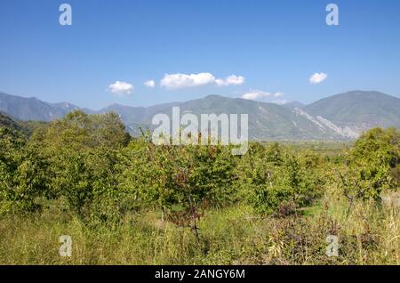 Voras mountain range - Loutraki Pellas, Pozar bagni - Grecia Foto Stock