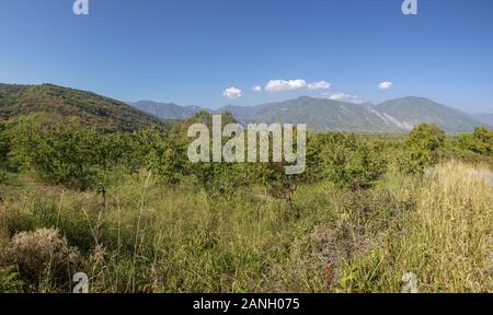 Voras mountain range - Nidze montagna - Grecia Macedonia vicino a Kajmakcalan Foto Stock