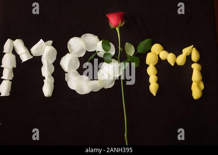 Floral ortografia della parola mom con una rosa rossa fiore nel mezzo della parola. Foto Stock