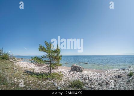 Spiaggia di Ljugarn, Gotland, Svezia e Scandinavia Foto Stock