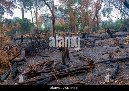 Area della riserva prevista dopo la masterizzazione in Australia Foto Stock