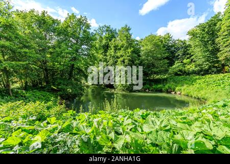 Francia, Loiret, Orleans, Orleans-la-sorgente, il Parc Floral de la Source la fonte del Loiret anche chiamato bouillon // Francia, Loiret (45) di Orléans, O Foto Stock