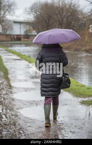 Kidderminster, Regno Unito. Il 17 gennaio, 2019. Regno Unito: meteo con assolutamente nessun lasciate fino in wet weather, livelli di acqua sono in aumento e anche i marciapiedi sono inondati costringendo i pedoni a ricorrere ai loro stivali da pioggia. Una donna con ombrellone, basso angolo e vista posteriore, è visto qui isolato a piedi attraverso le pozze nel suo wellies lungo un canale alzaia sotto la pioggia. Il mese di gennaio si sta dimostrando di essere un wet, tetro inizio di nuovo anno. Credito: Lee Hudson/Alamy Live News Foto Stock