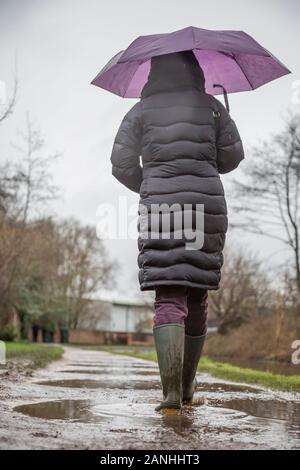 Kidderminster, Regno Unito. Il 17 gennaio, 2019. Regno Unito: meteo con assolutamente nessun lasciate fino in wet weather, livelli di acqua sono in aumento e anche i marciapiedi sono inondati costringendo i pedoni a ricorrere ai loro stivali da pioggia. Una donna con ombrellone, basso angolo e vista posteriore, è visto qui isolato a piedi attraverso le pozze nel suo wellies lungo un canale alzaia sotto la pioggia. Il mese di gennaio si sta dimostrando di essere un wet, tetro inizio di nuovo anno. Credito: Lee Hudson/Alamy Live News Foto Stock