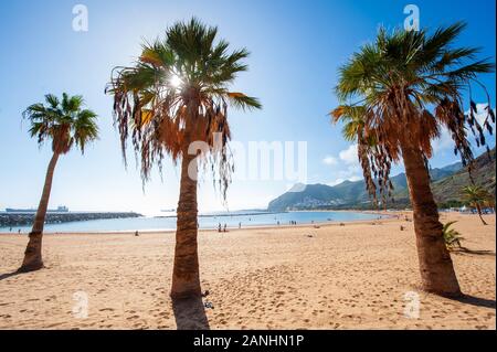 Isola Canarie TENERIFE, Spagna - 23 Dic, 2019: Playa de Las Teresitas è la più bella spiaggia dell'isola Canarie Tenerife. La sabbia bianca è stata shi Foto Stock