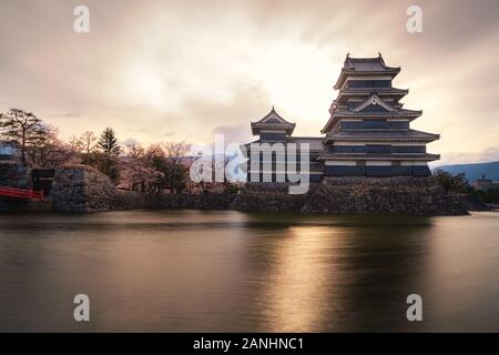 Il Castello Matsumoto durante la fioritura dei ciliegi (Sakura) è uno dei più famosi luoghi di interesse a Matsumoto, Nagano, Giappone. Giappone turismo, storia edificio, o trad Foto Stock