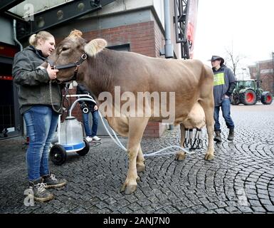 Oberhausen, Germania. Xvii gen, 2020. La vacca da latte Lisa è munto con una mungitura mobile macchina da giovane agricoltore Franziska durante l'agricoltore e la marcia di protesta presso il centro shopping center. Gli agricoltori stanno protestando contro i nuovi regolamenti di fertilizzante e per "equo dei prezzi dei prodotti alimentari". Credito: Roland Weihrauch/dpa/Alamy Live News Foto Stock